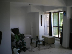 Park View Apartment with Parking Spot